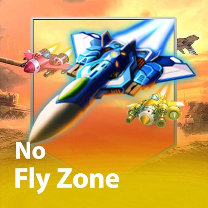 No Fly Zone