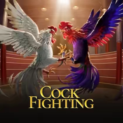 Cock Fighting